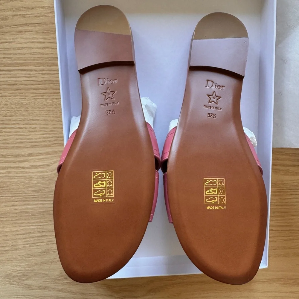 New - Dior Dusty-Pink 30 MONTAIGNE Leather Slide Sandals with Gold 'CD' Buckle